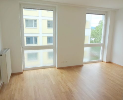 1010 Wien 1 Zimmer Wohnung