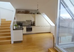 1020 DG Wohnung Mit Terrasse