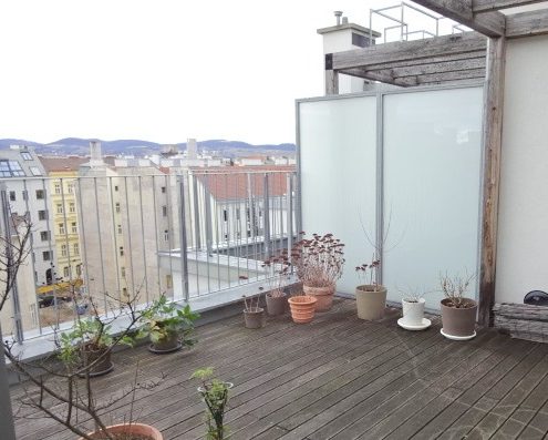 1020 Dachterrassenwohnung