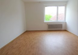 1060 Unbefristete Wohnung Wien Wohnzimmer