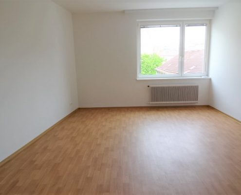 1060 Unbefristete Wohnung Wien Wohnzimmer