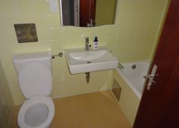 1110 Garconniere Wien Bad