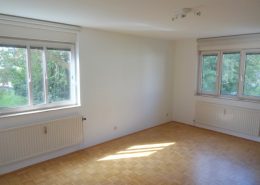 1190 2 Zimmer Wohnung Wohnzimmer