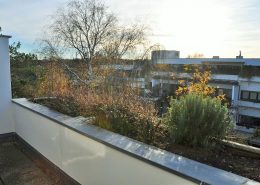 1190 Terrassenwohnung Aussicht