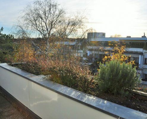 1190 Terrassenwohnung Aussicht