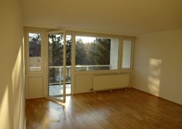 1190 Wohnzimmer Mit Loggia