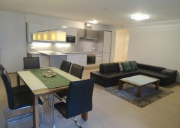 partly furnished 3 bedroom apartment