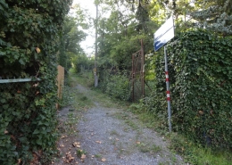 naturbelassenes Baugrundstück in 1130 Wien