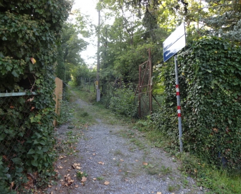 naturbelassenes Baugrundstück in 1130 Wien