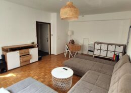 Wohnungsvermietung Landstraße