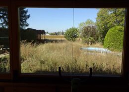 Baugrundstück Altbestand Garten