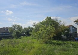 Baugrundstück Niederösterreich - Vor Gartenschnitt