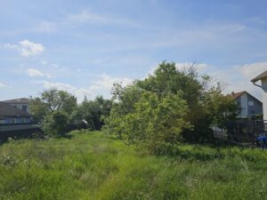 Baugrundstück Niederösterreich - Vor Gartenschnitt