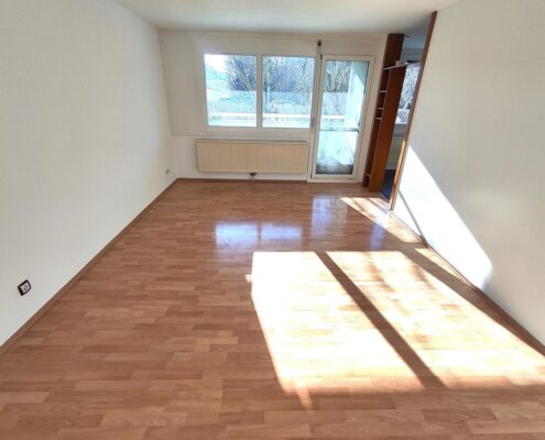 Wohnungsverkauf 11. Bezirk, Neubau, Wohnung mit Loggia in Simmering (2)