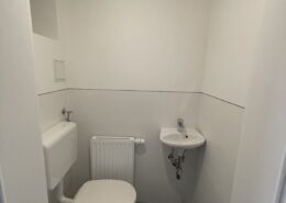 Altbausanierung Wien WC neu