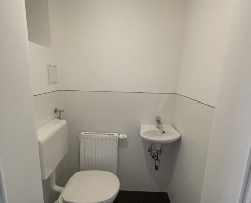 Altbausanierung Wien WC neu