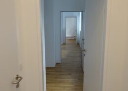 Bürosanierung mit aufsteigender Feuchtigkeit Gang neu