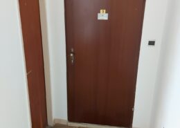 Generalsanierung Wohnungseingangstür alt