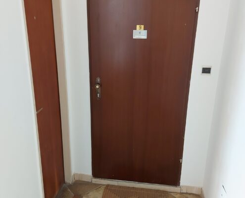 Generalsanierung Wohnungseingangstür alt