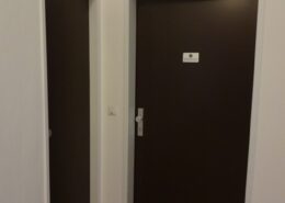 Generalsanierung Wohnungseingangstür neu