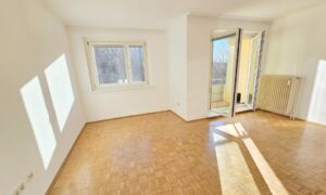 Kaufberatung Eigentumswohnung 1220 Wien