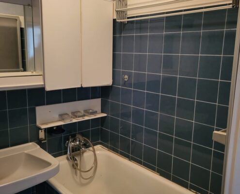Wohnungsmodernisierung 1190 Bad alt