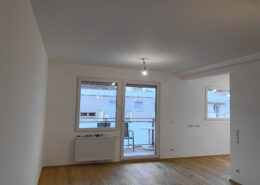 Wohnungsmodernisierung mit Fenstertausch neu