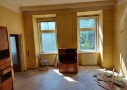 Wohnungssanierung Wien Wohnzimmer alt
