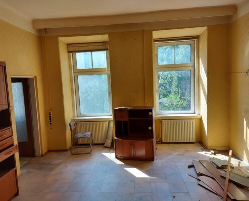 Wohnungssanierung Wien Wohnzimmer alt