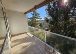 Loggia mit Grünblick-Wohnungsverkauf Sieveringer Straße