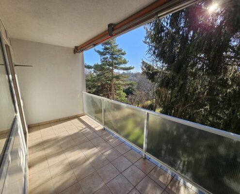 Loggia mit Grünblick-Wohnungsverkauf Sieveringer Straße